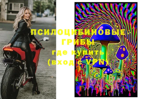 сатива Абдулино