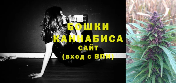 сатива Абдулино