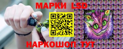 альфа пвп Гусев