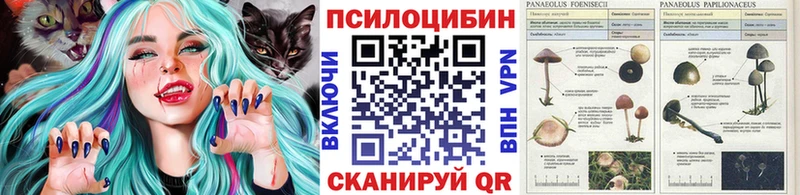 Псилоцибиновые грибы Psilocybine cubensis  omg сайт  Норильск 