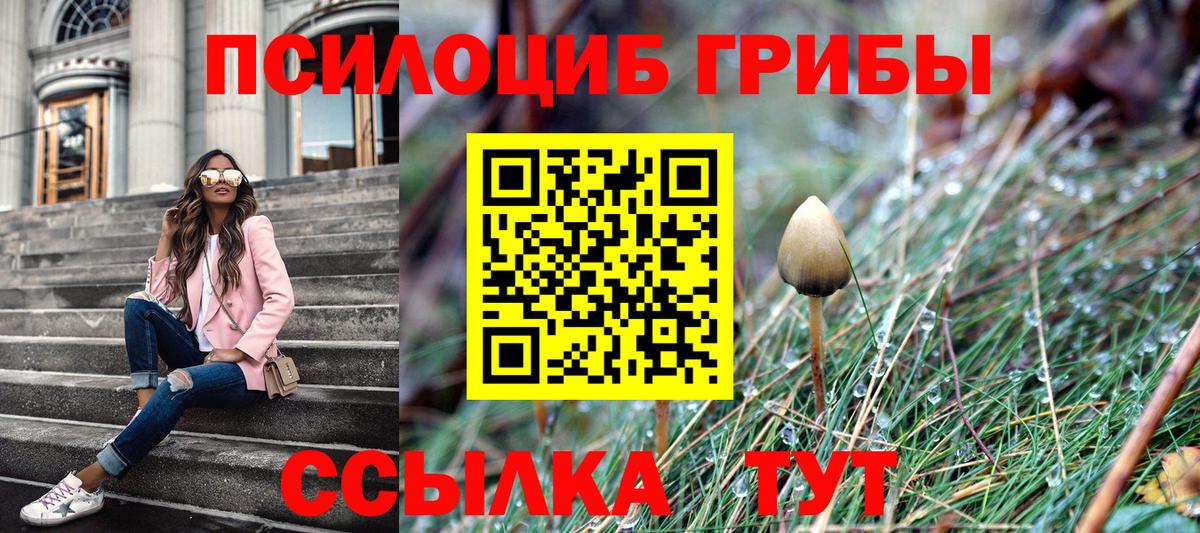 хочу   Галлюциногенные грибы мицелий  Вход с VPN  Галлюциногенные грибы Psilocybe  Норильск 